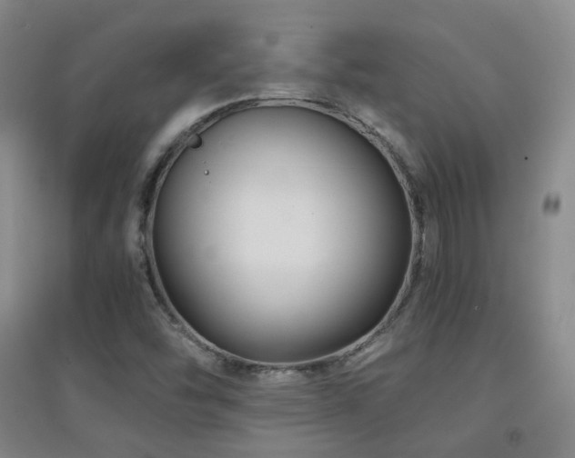X0000094431454200711081215