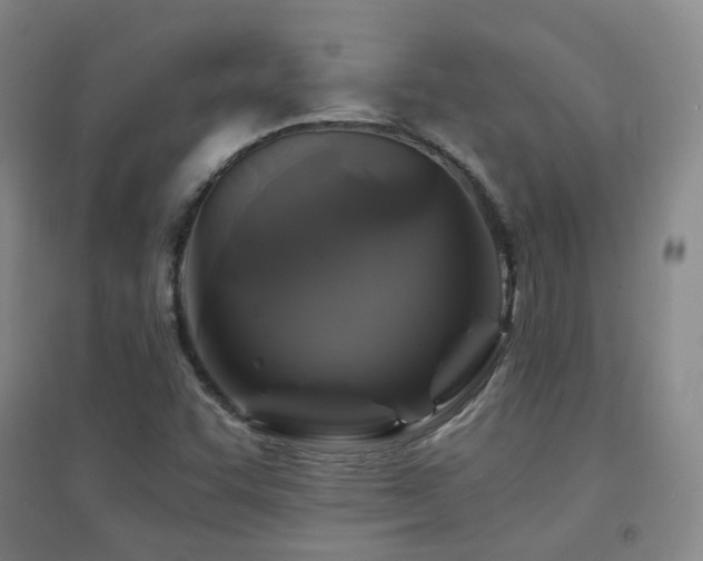 X0000094431455200711081215