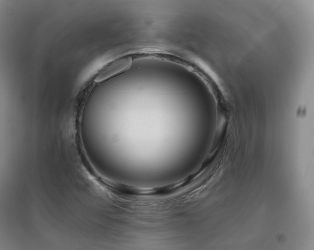 X0000094431456200711081215
