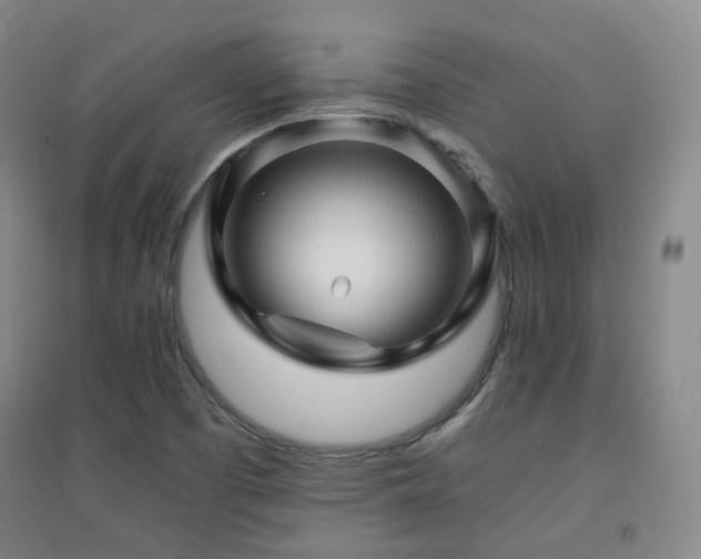 X0000094431457200711081215