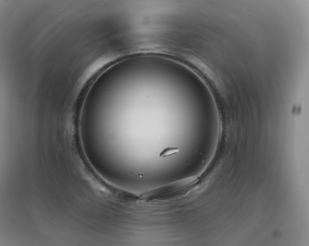 X0000094431458200711081215