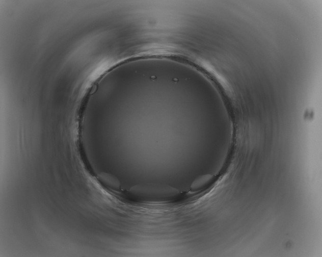 X0000094431459200711081215