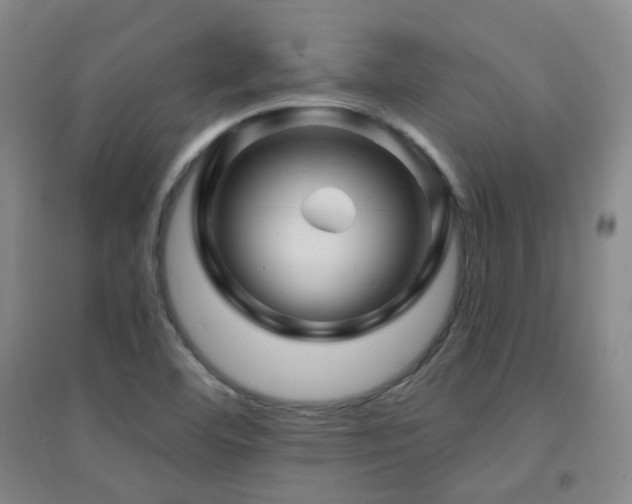 X0000094431460200711081215