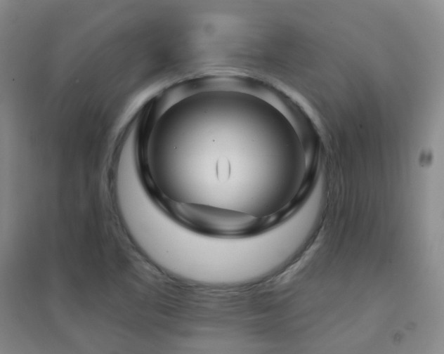 X0000094431461200711081215