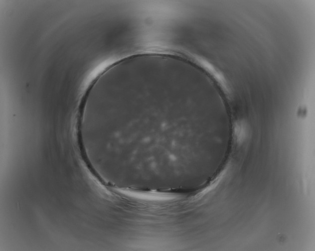 X0000094431463200711081215