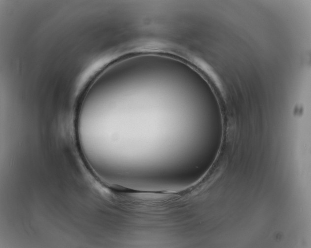 X0000094431464200711081215