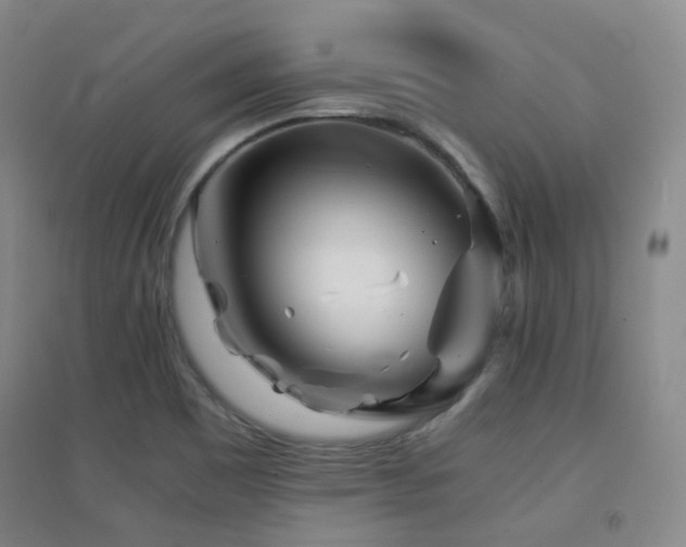 X0000094431465200711081215