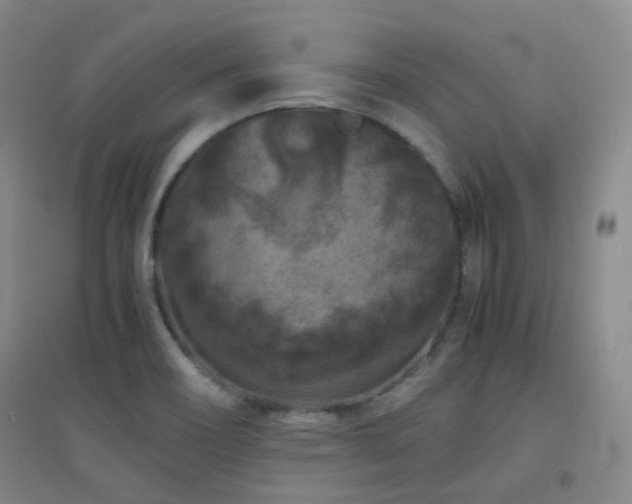 X0000094431466200711081215