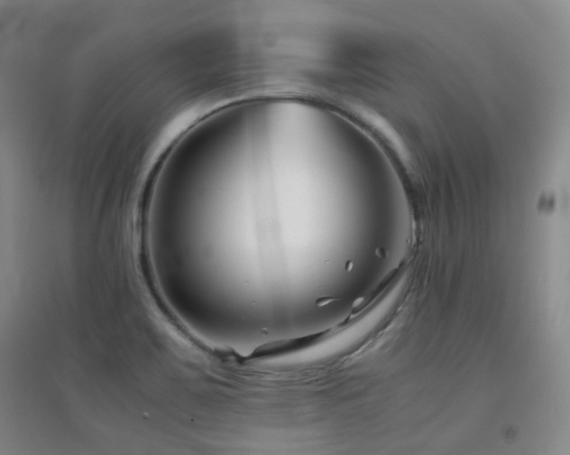 X0000094431467200711081215