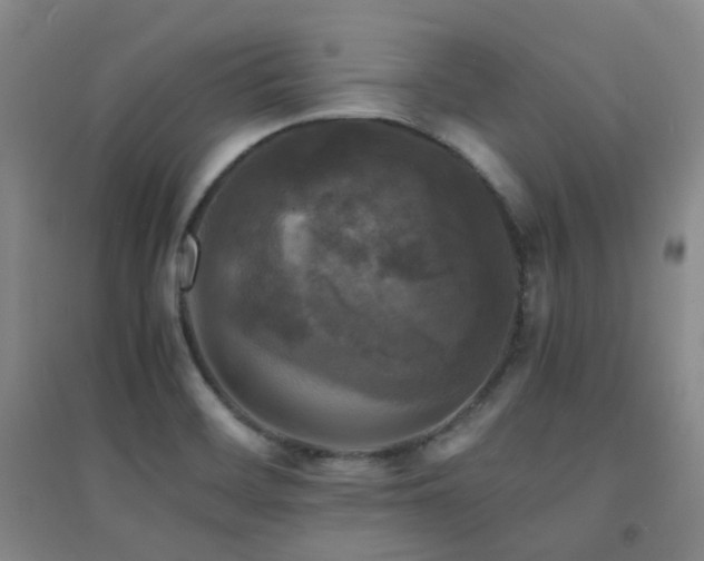 X0000094431468200711081215