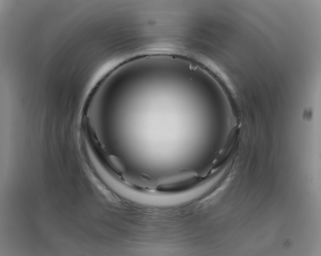 X0000094431469200711081215