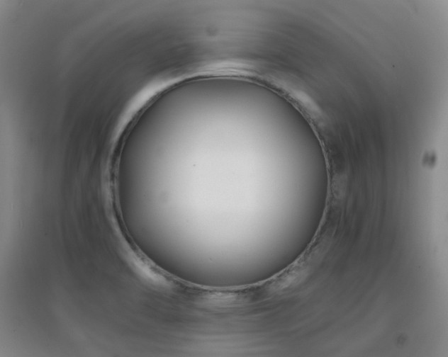 X0000094431470200711081215