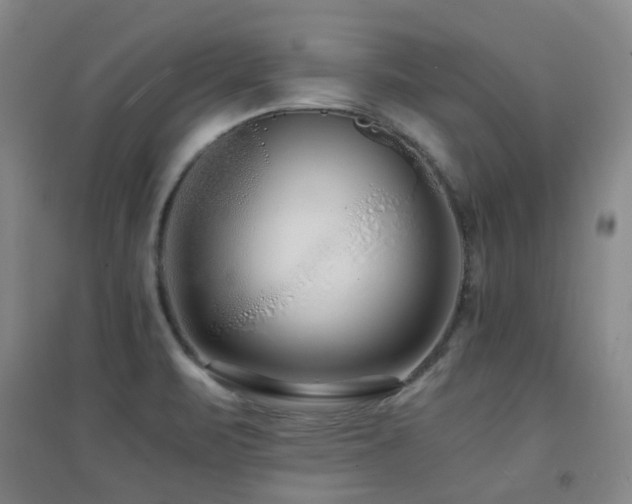 X0000094431471200711081215
