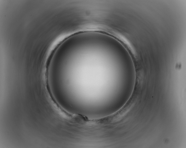 X0000094431472200711081215