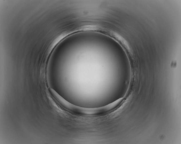 X0000094431473200711081215
