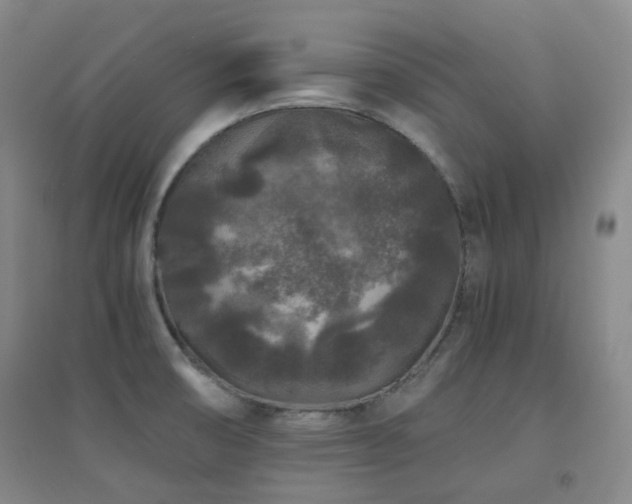 X0000094431474200711081215