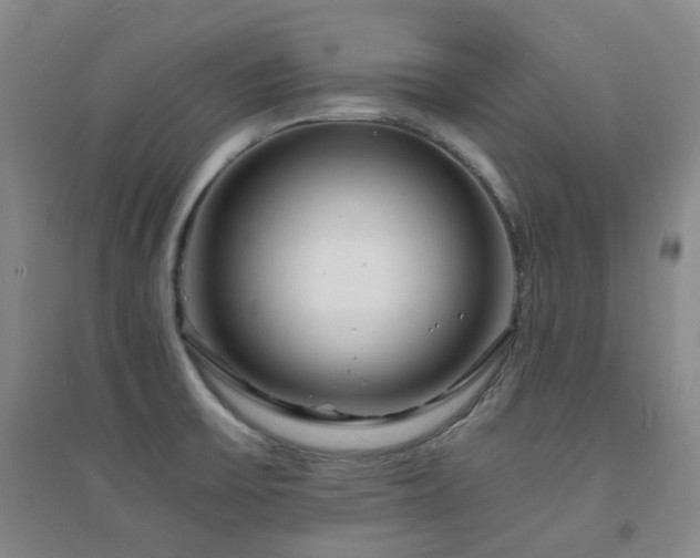 X0000094431475200711081215