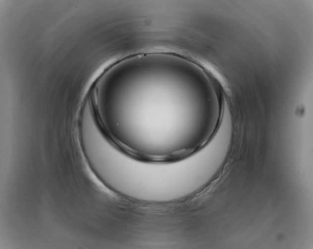 X0000094431476200711081215