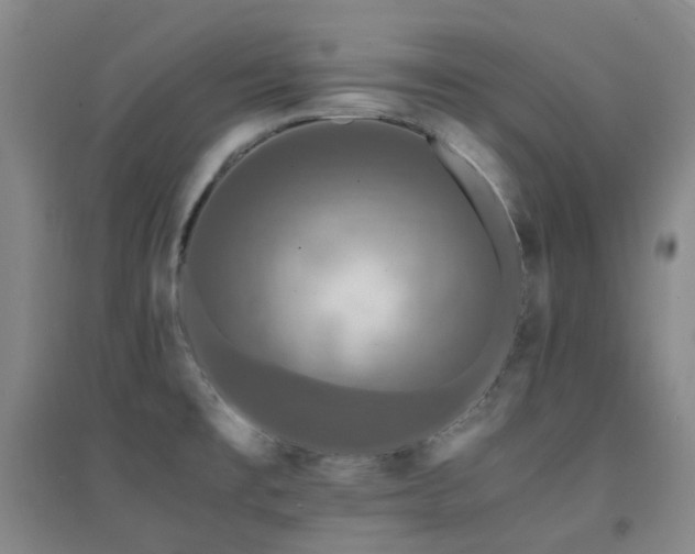 X0000094431477200711081215
