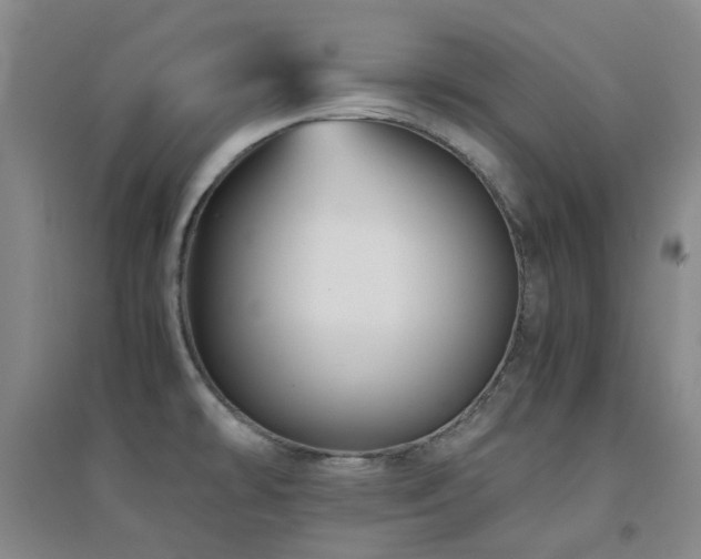 X0000094431478200711081215