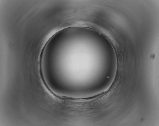 X0000094431479200711081215