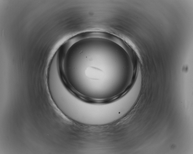 X0000094431480200711081215