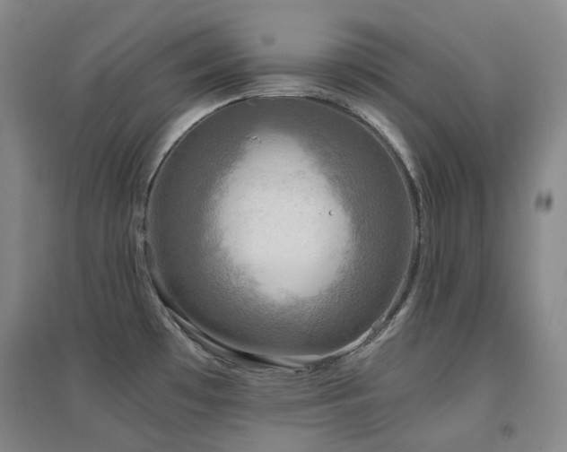 X0000094431481200711081215