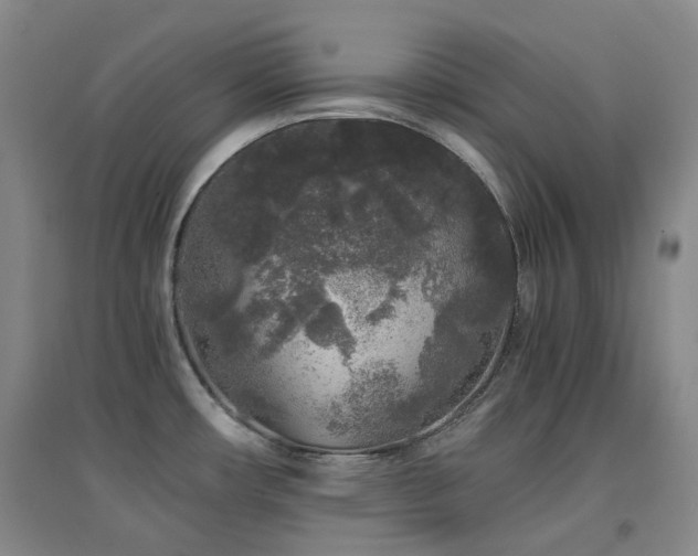 X0000094431482200711081215