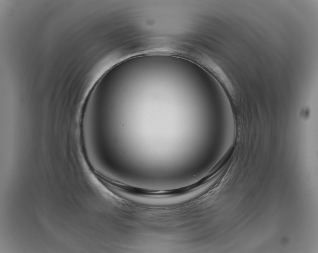 X0000094431483200711081214
