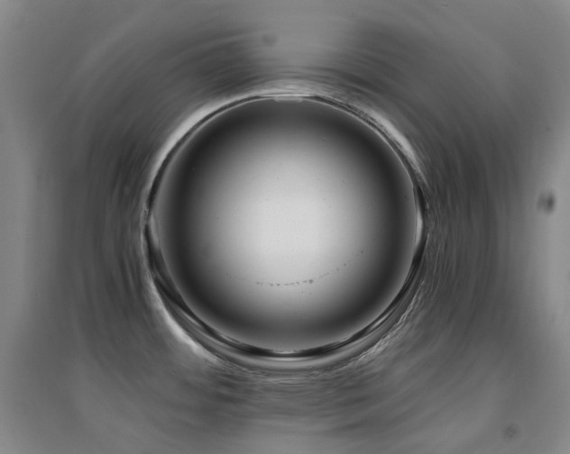 X0000094431484200711081214