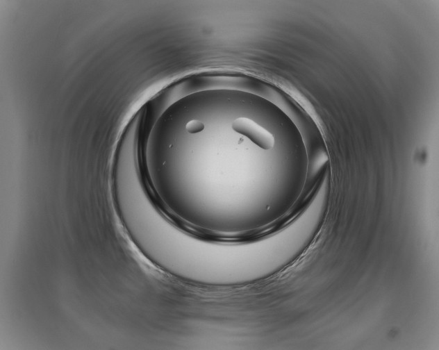 X0000094431485200711081214