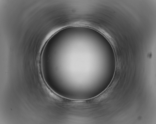X0000094431486200711081214