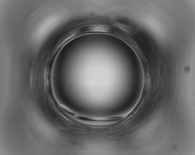 X0000094431487200711081214