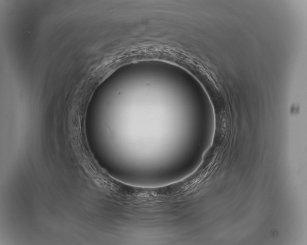 X0000094431489200711081214