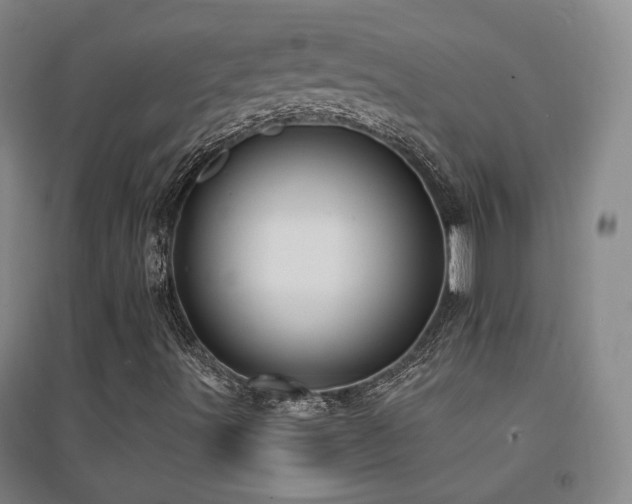 X0000094431491200711081214
