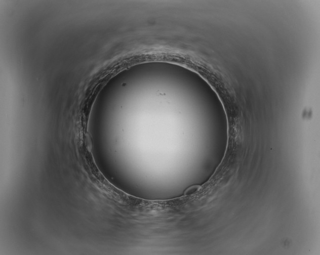 X0000094431493200711081214