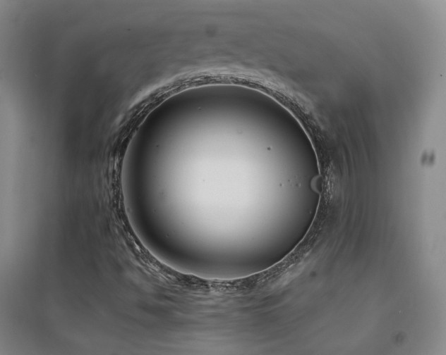 X0000094431494200711081214