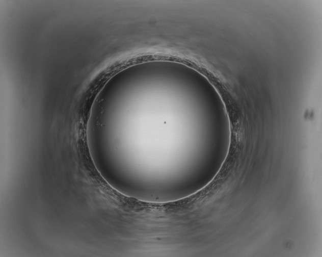 X0000094431495200711081214
