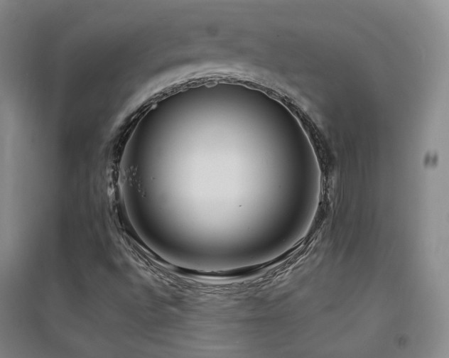 X0000094431496200711081214