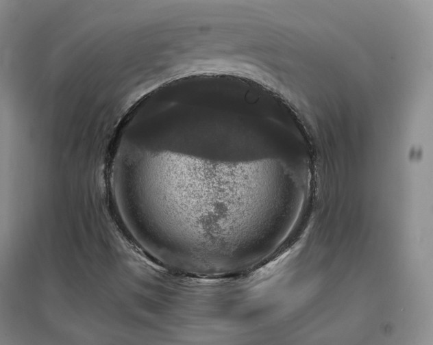X0000094431497200711081214