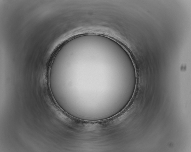 X0000094431498200711081214