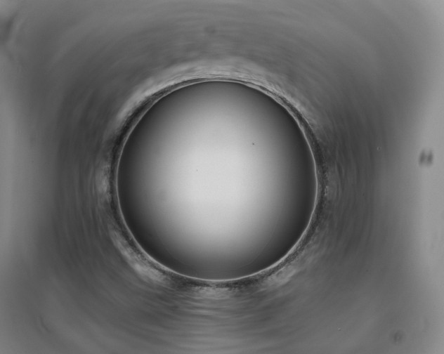 X0000094431499200711081214