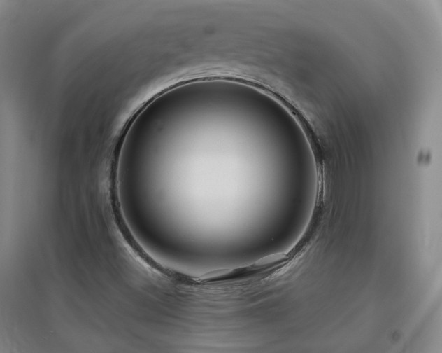X0000094431500200711081214