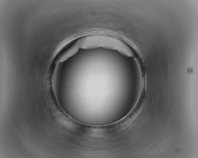 X0000094431501200711081214