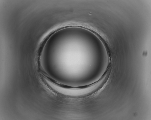 X0000094431502200711081214