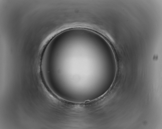 X0000094431504200711081214