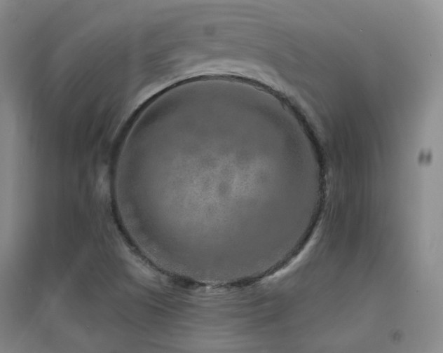 X0000094431505200711081214