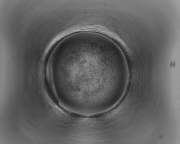 X0000094431506200711081214