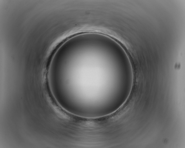 X0000094431507200711081214