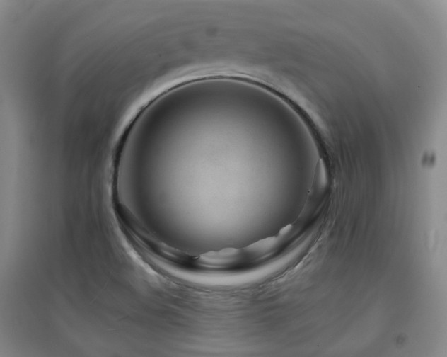X0000094431508200711081214